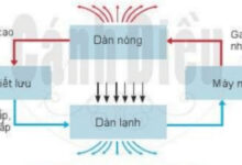 Bộ đề thi học kì 2 môn Công nghệ 6 năm 2022 – 2023 sách Cánh diều 8 Đề kiểm tra cuối kì 2 môn Công nghệ 6 (Có đáp án + Ma trận)