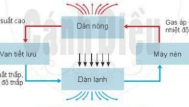 Bộ đề thi học kì 2 môn Công nghệ 6 năm 2022 – 2023 sách Cánh diều 8 Đề kiểm tra cuối kì 2 môn Công nghệ 6 (Có đáp án + Ma trận)