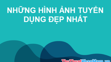 Các hình ảnh đẹp nhất trong tuyển dụng