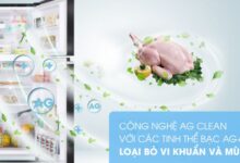 Các thương hiệu tủ lạnh uy tín tại thị trường Việt Nam