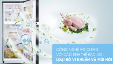 Các thương hiệu tủ lạnh uy tín tại thị trường Việt Nam