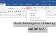 Cách chuyển chữ thường thành chữ hoa và ngược lại trong Word, Excel nhanh, dễ nhất