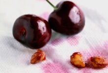 Cách làm sạch vết bẩn của cherry dính trên quần áo, đồ dùng
