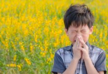 Cách phòng ngừa dị ứng phấn hoa và lông thú cho trẻ em