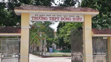 Đánh Giá Trường THPT Đông Hiếu – Nghệ An Có Tốt Không?