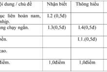 Đề kiểm tra học kì I lớp 9 môn Thể dục – Đề 1 Đề kiểm tra môn Thể dục