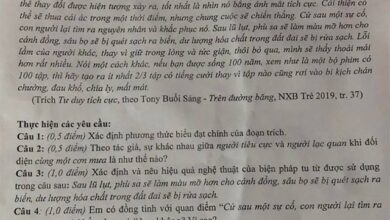 Đề thi vào 10 môn Ngữ văn năm 2023 – 2024 sở GD&ĐT Kiên Giang Đáp án đề thi vào lớp 10 môn Văn 2023