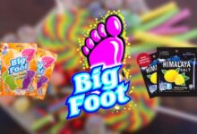 Kẹo que trái cây BigFoot – món quà độc đáo cho bé dịp Tết