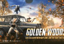 PUBG Mobile Lite 0.14.1 xuất hiện bản đồ Golden Woods độc quyền