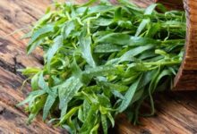 Tarragon là gì? Công dụng tuyệt vời của tarragon với sức khỏe