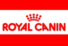 Thức ăn cho mèo royal canin gồm những loại nào