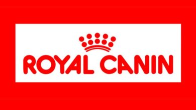 Thức ăn cho mèo royal canin gồm những loại nào