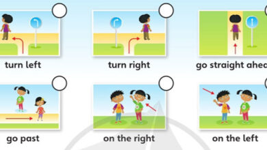 Tiếng Anh lớp 4 Unit 0: Lesson 7 Soạn Anh 4 Explore Our World (Cánh diều)