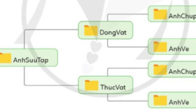 Tin học lớp 4 Bài 3: Thực hành tạo, sao chép, xóa thư mục và đổi tên, di chuyển tệp Giải Tin học lớp 4 Cánh diều trang 24, 25