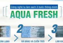 Tính năng AQUA Fresh trên máy lạnh Aqua là gì? Lợi ích và cách sử dụng như thế nào?