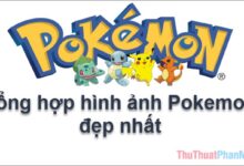 Tổng hợp những ảnh đẹp nhất về Pokemon