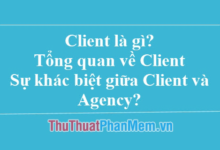 Tổng quan về Client: Khác biệt giữa Client và Agency