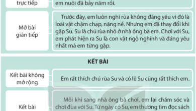 Viết: Tìm hiểu cách viết bài văn miêu tả con vật – Tiếng Việt 4 Kết nối tri thức Tiếng Việt lớp 4 Kết nối tri thức tập 1 Bài 25