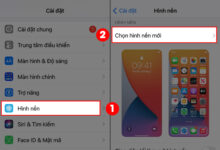 4 cách cài đặt video làm hình nền điện thoại iPhone mới nhất