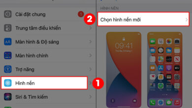 4 cách cài đặt video làm hình nền điện thoại iPhone mới nhất