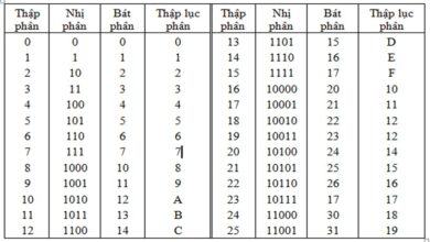 Ai đã tạo ra Hệ đếm thập lục phân – Phát minh kỳ diệu trong toán học?