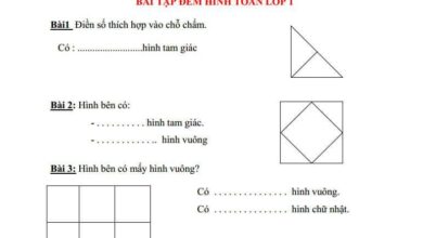 Bài Tập Đếm Hình Lớp 1 Có Đáp Án