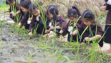 Bố mẹ nên đưa con du lịch đến những nơi này để phát triển toàn diện