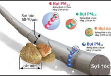 Bụi mịn PM 1.0 là gì? Có nguy hiểm và ảnh hưởng thế nào đến sức khỏe?