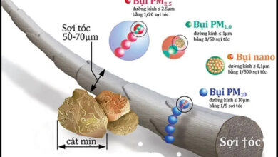 Bụi mịn PM 1.0 là gì? Có nguy hiểm và ảnh hưởng thế nào đến sức khỏe?