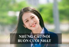 Các Câu Nói Hài Hước Nhất