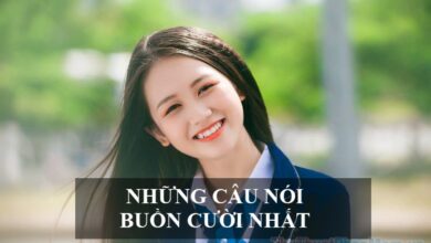 Các Câu Nói Hài Hước Nhất