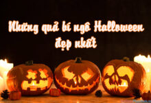 Các quả bí ngô Halloween tuyệt đẹp.