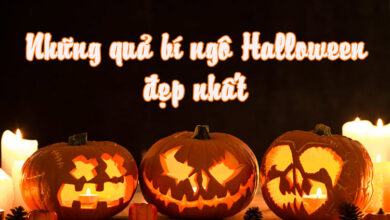 Các quả bí ngô Halloween tuyệt đẹp.