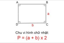 Công Thức & Cách Tính Chu Vi Hình Chữ Nhật