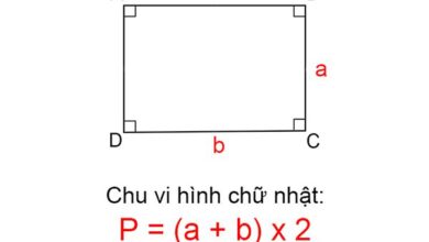 Công Thức & Cách Tính Chu Vi Hình Chữ Nhật