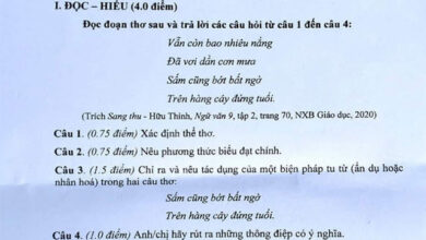 Đề thi vào 10 môn Ngữ văn năm 2023 – 2024 sở GD&ĐT Đắk Nông Đáp án đề thi vào lớp 10 môn Văn 2023