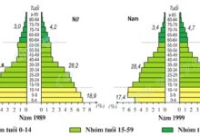 Địa lí 9 Bài 5: Thực hành Phân tích và so sánh tháp dân số năm 1989 và năm 1999 Soạn Địa 9 trang 18