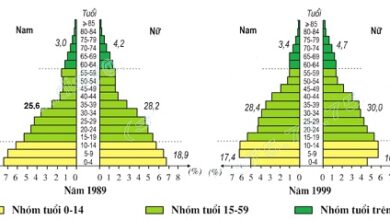 Địa lí 9 Bài 5: Thực hành Phân tích và so sánh tháp dân số năm 1989 và năm 1999 Soạn Địa 9 trang 18