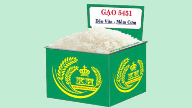 Gạo 5451 là gạo gì? Công dụng của gạo OM 5451