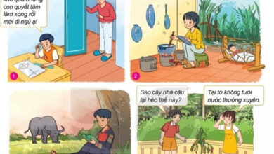 GDCD 6 Bài 3: Siêng năng, kiên trì Giáo dục công dân lớp 6 trang 13 sách Kết nối tri thức với cuộc sống