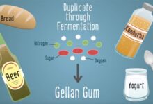 Gellan gum là gì? Vai trò của gellan gum đối với sức khỏe