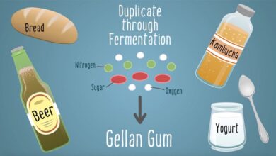 Gellan gum là gì? Vai trò của gellan gum đối với sức khỏe