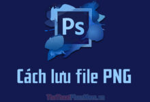 Hướng dẫn cách lưu ảnh dạng PNG trong Photoshop.