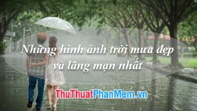 Khoảnh khắc mưa tuyệt đẹp và lãng mạn nhất để tưởng niệm.