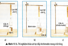 KHTN 8 Bài 17: Áp suất trong chất lỏng Giải KHTN 8 Chân trời sáng tạo trang 84, 85, 86, 87, 88