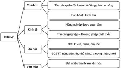 Lịch sử 7 Bài 15: Công cuộc xây dựng và bảo vệ đất nước thời Lý (1009 – 1226) Soạn Sử 7 trang 57 sách Chân trời sáng tạo