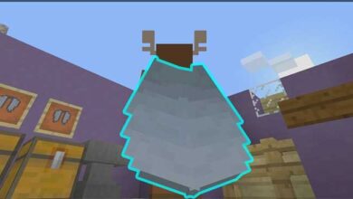 Mẹo dùng Elytra trong Minecraft