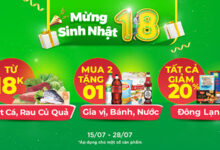 Mừng sinh nhật tập đoàn MWG 18 tuổi, mua rau củ quả, thịt, cá giảm đến 18%