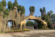 Review chi tiết sở thú Mỹ Quỳnh Safari rộng 50ha, cách Sài Gòn chỉ 40km