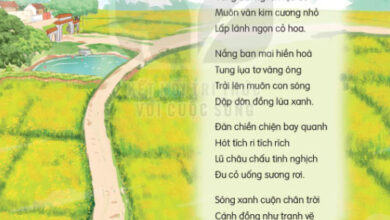 Soạn bài Cánh đồng quê em (trang 129) Tiếng Việt lớp 2 Kết nối tri thức Tập 2 – Tuần 34